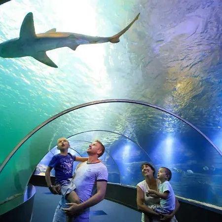 Ferienhaus Petite Maison De *